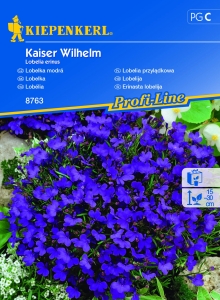 Lobelia przylądkowa 'Kaiser Wilhelm' - Nasiona - Kiepenkerl