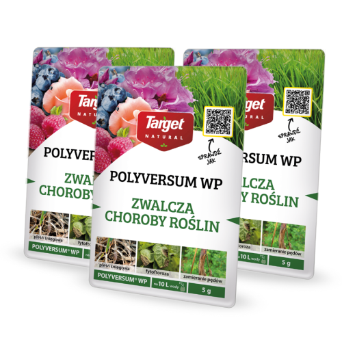 Polyversum x3 (1).png