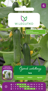 Ogórek Szklarniowy Iwa 1 g Legutko